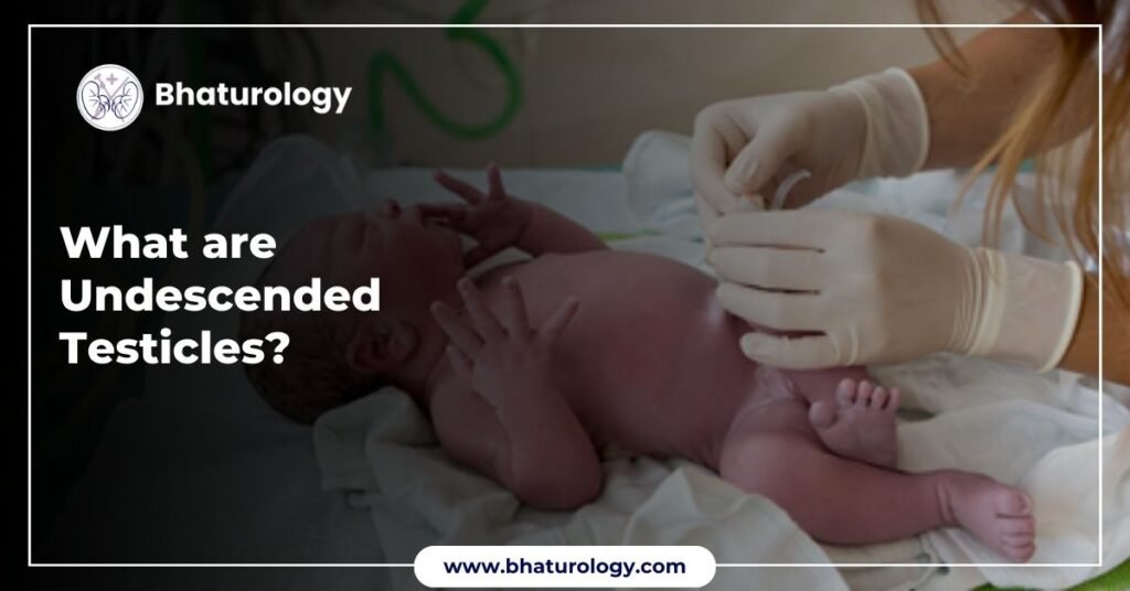 Undescended Testicles